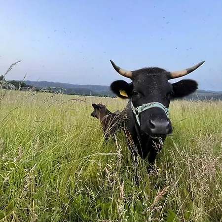 Farm - Schoena