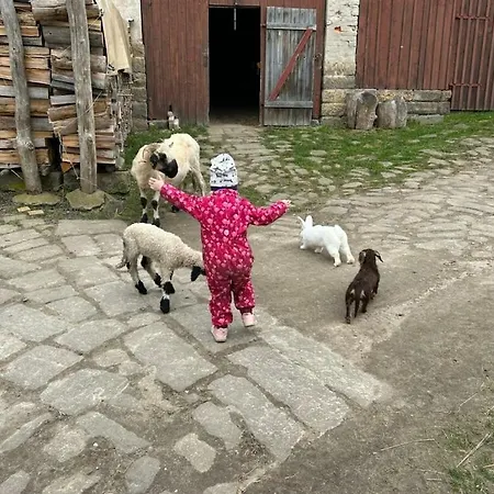 Nyaraló Farm - Schoena *