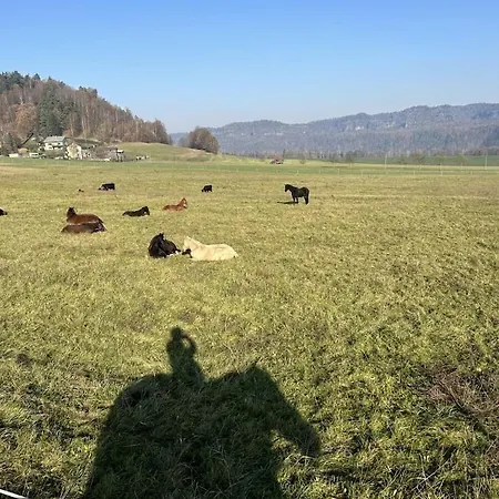 Nyaraló Farm - Schoena Schöna