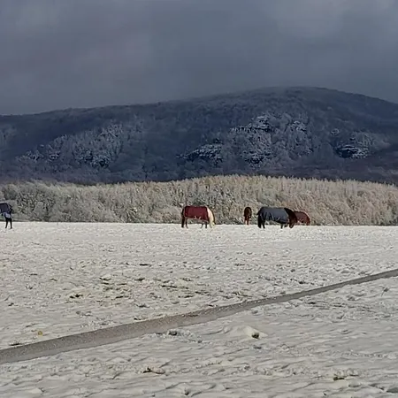 Nyaraló Farm - Schoena Schöna